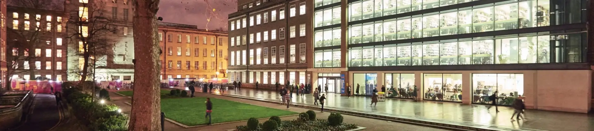 Culinary Industry Management,BBA (Hons)